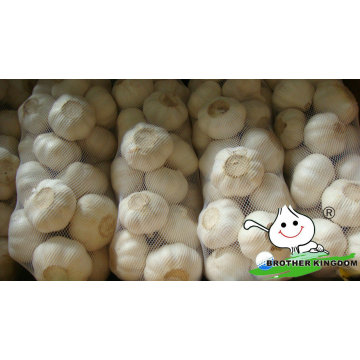 Fresh white garlic/Fresh garlic/Jinxiang Garlic